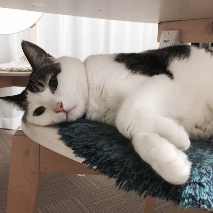 Cc623f75 385f 4eba a875 467d5e7dc7b1