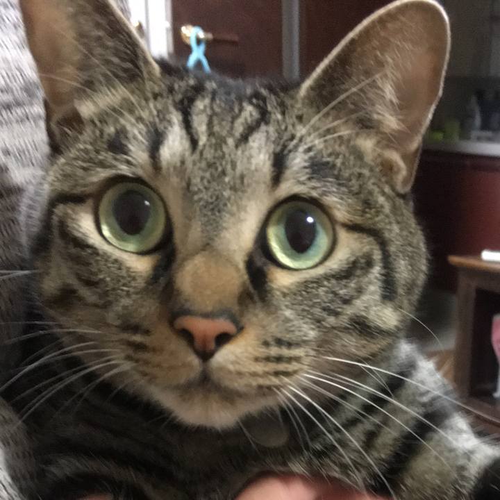 Cc627406 ff76 42b3 ba86 0d8bd67329ab