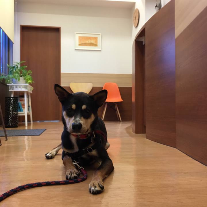 Cc629a72 2cdc 4451 a654 31c8319db86f