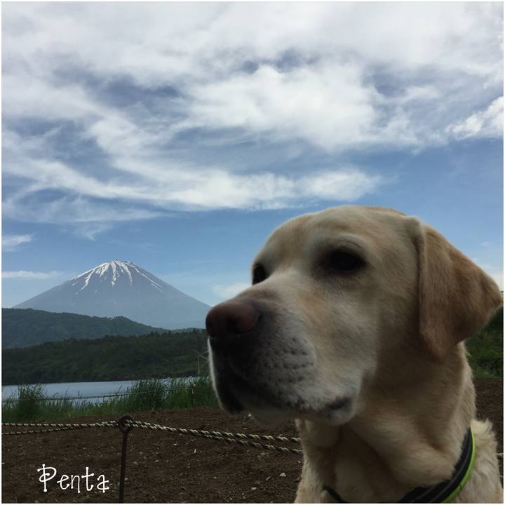 Cc62cf87 7348 4f3e ba4f 21bf8048773e