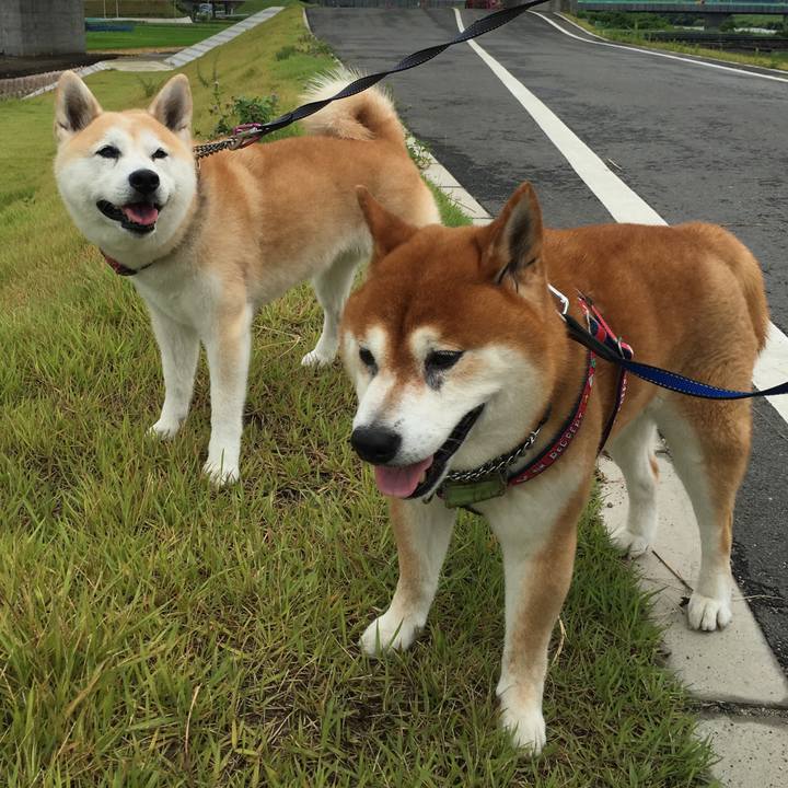 Cc632a9d 38c9 4b89 934c c0727a442ac0