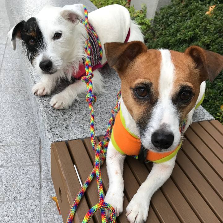 Cc633864 4894 41d9 be4e 62fbd269775f