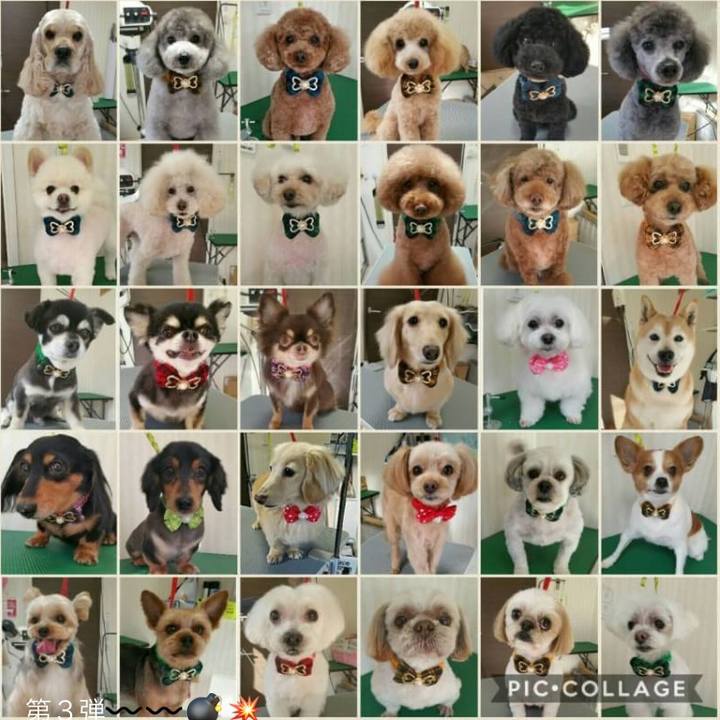 Cc6389f0 08ef 46bb 8c8d 82ef8bb90ede