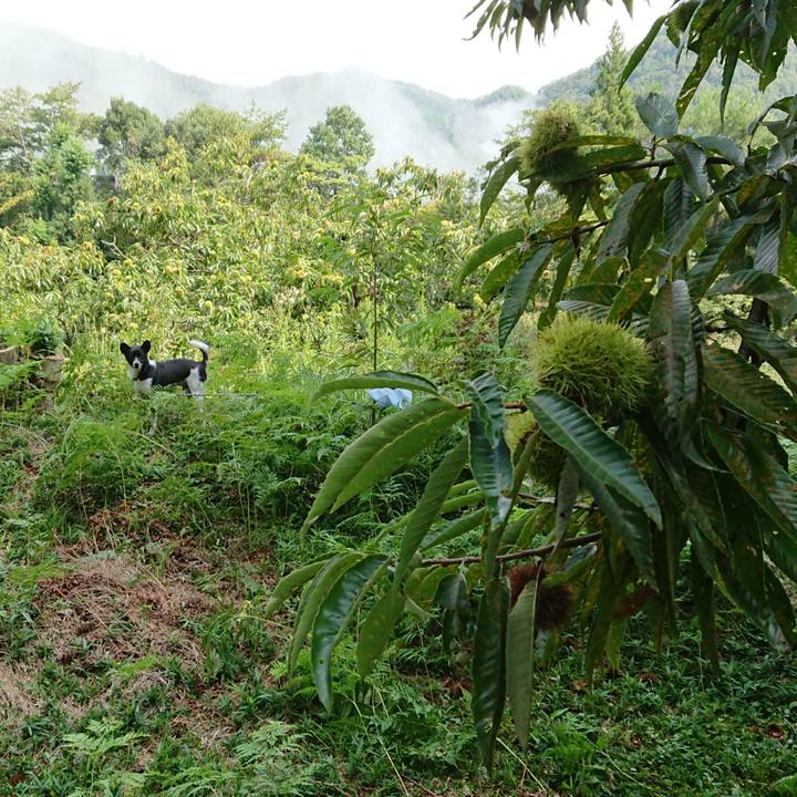 Cc63e424 d1b8 4e5f 842b 06e2624aa96a