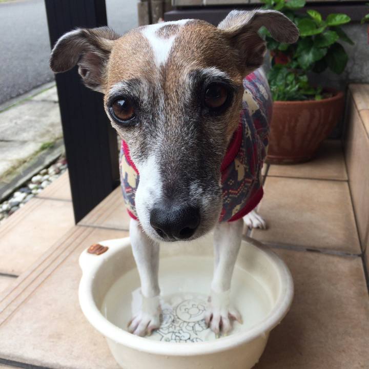 Cc63e579 c3db 463c 9238 ecdb9e30bca9