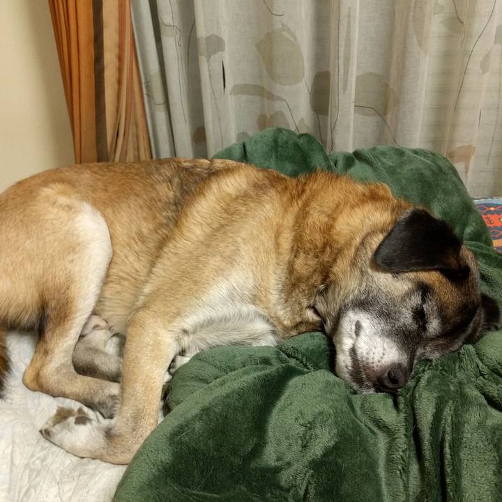 Cc647a64 0779 4d87 9c5a 84d92a2f09e8