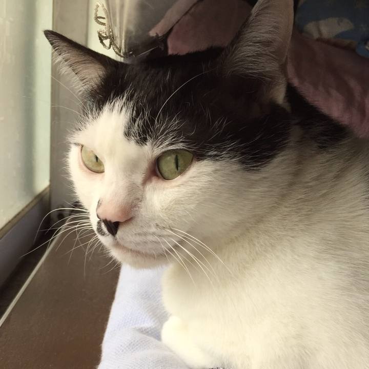 Cc6486d2 94da 441a af7e feb7b3f66f3c