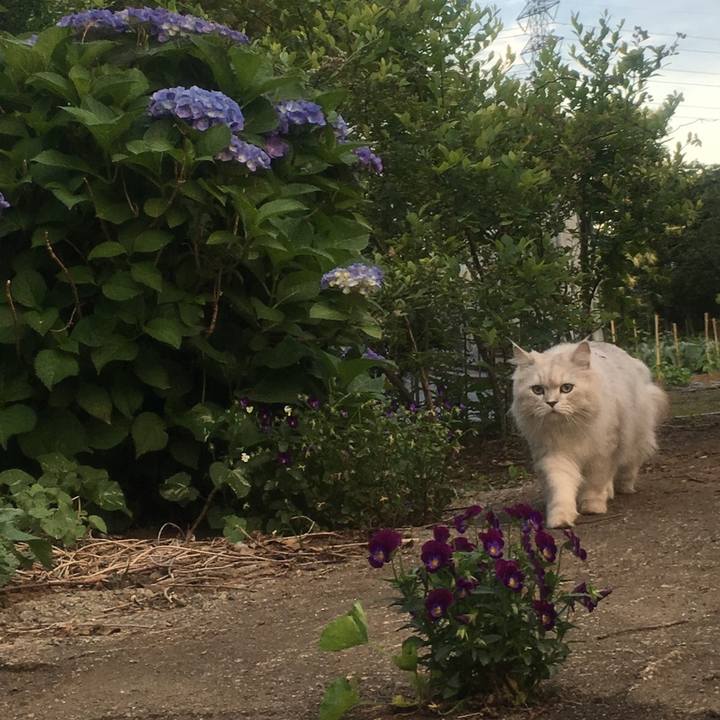 Cc65114c 0467 417e 9460 9e5b75aaae0c