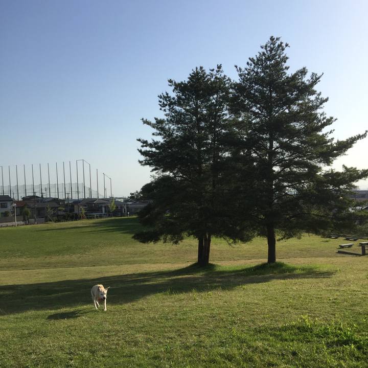 Cc652112 1c4d 434b 9812 ad8a5e37c01b