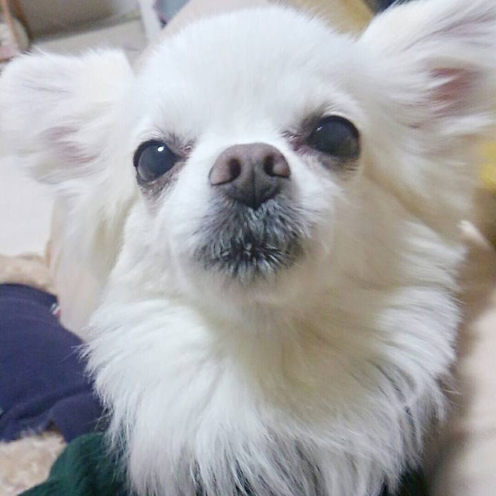 Cc653595 99a1 43f7 8e93 516ade039efc