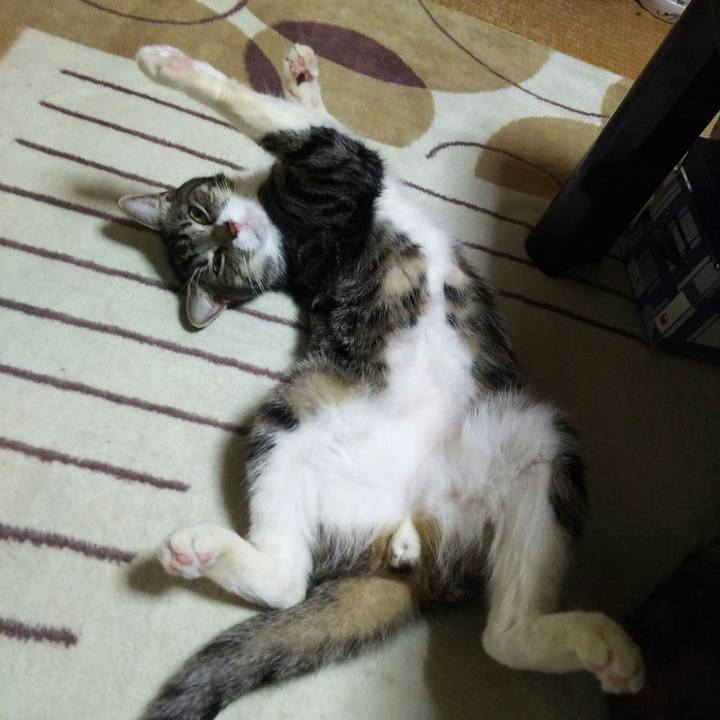 Cc659919 55bc 4220 b082 a8cb4f692512