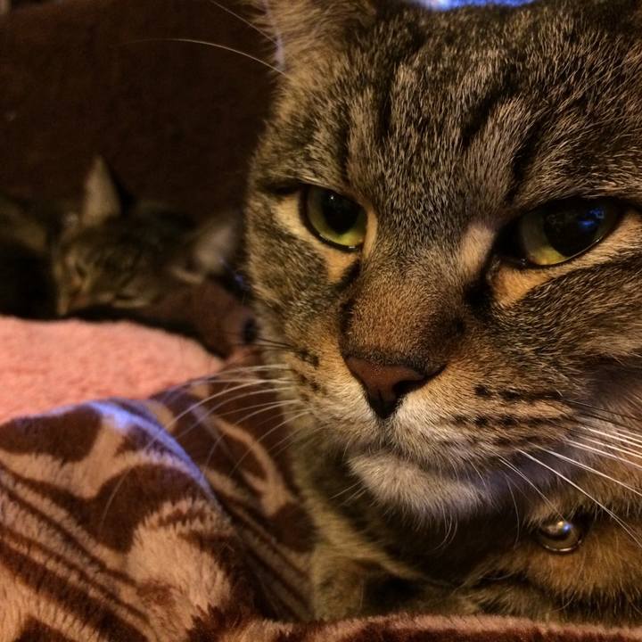 Cc65ca6f f278 4fcd ace3 54454ad8e6db