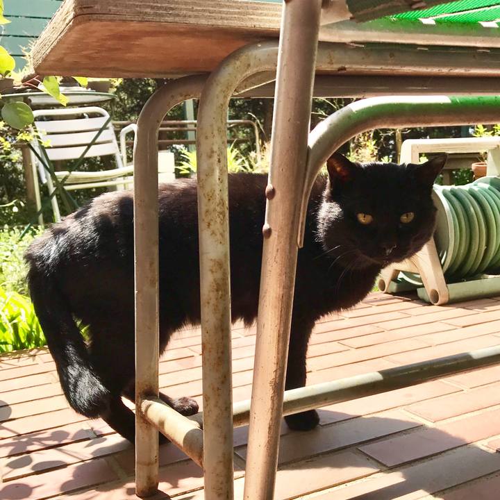 Cc666f35 34ca 4674 83dd 624f93bd188b