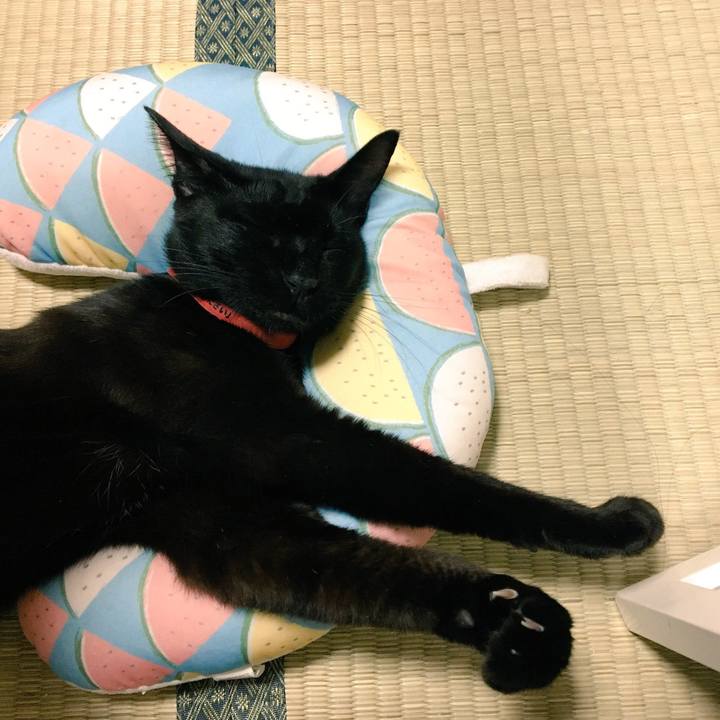 Cc66f138 401c 4de1 b6c8 0a74e4a1e473