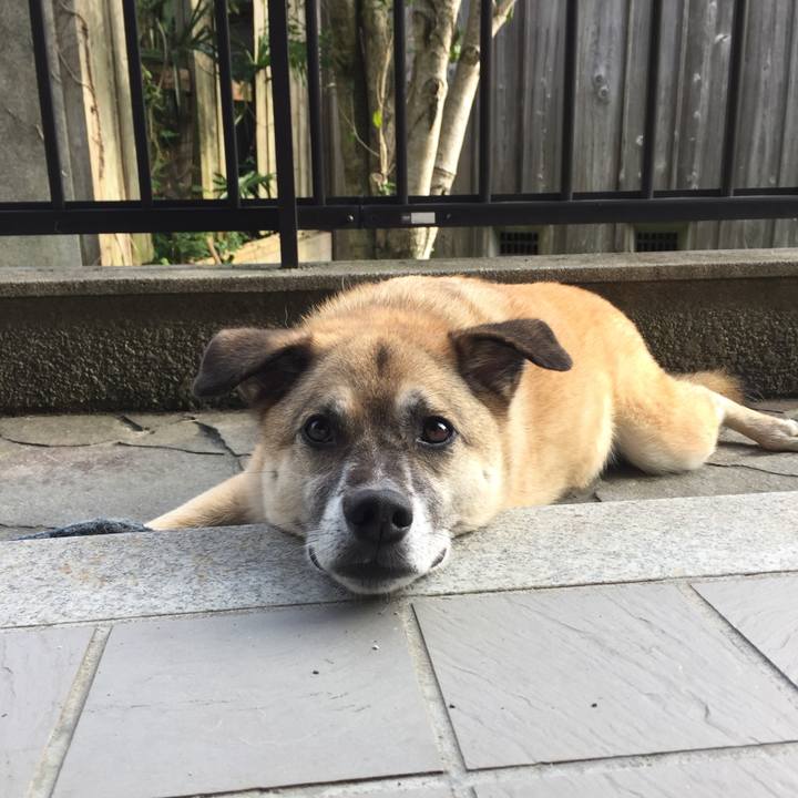 Cc678b20 3ac9 4bab 8204 0d1750d99b1c