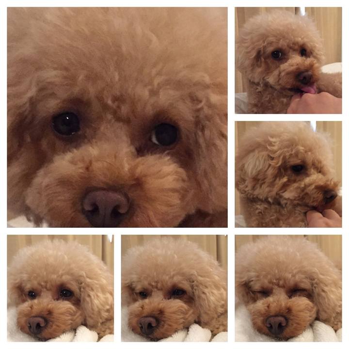 Cc67904c b617 40cc af62 910e712aa6f5