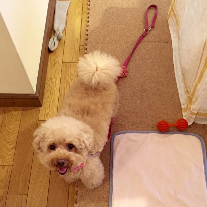 Cc68012a afa0 4e29 a4d1 8c92ea0f5001