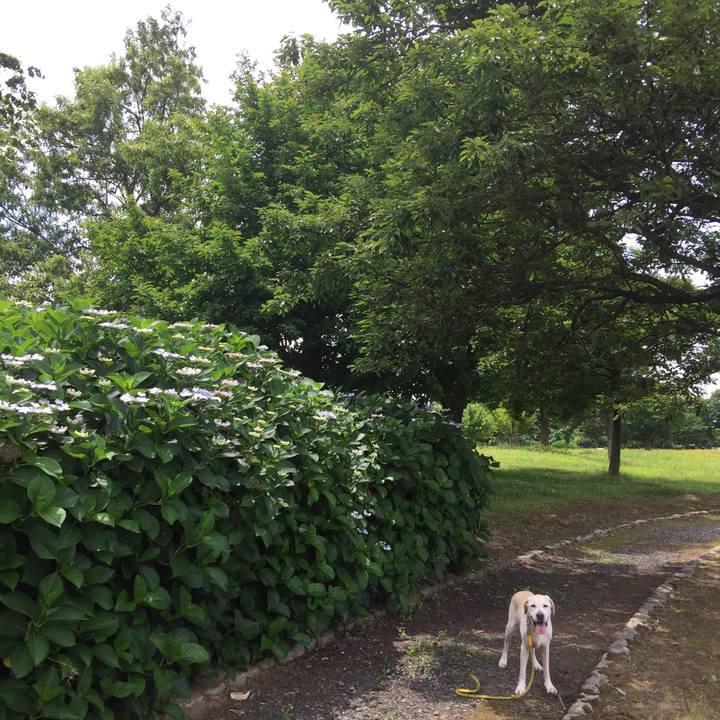 Cc688e06 f558 4329 a05c 48a35b526f0e