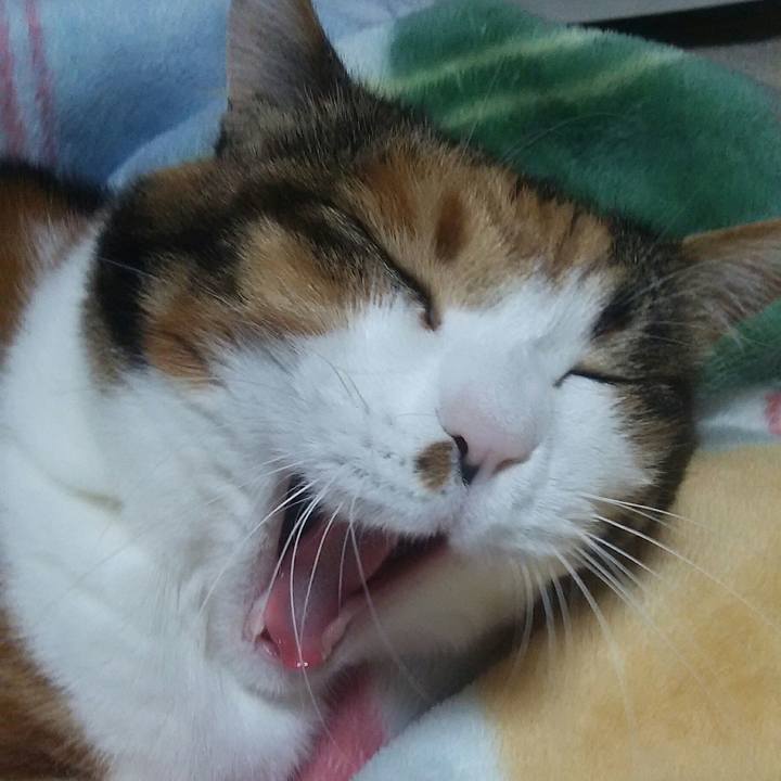 Cc68d630 e180 486f 8bd1 00b92c052f26