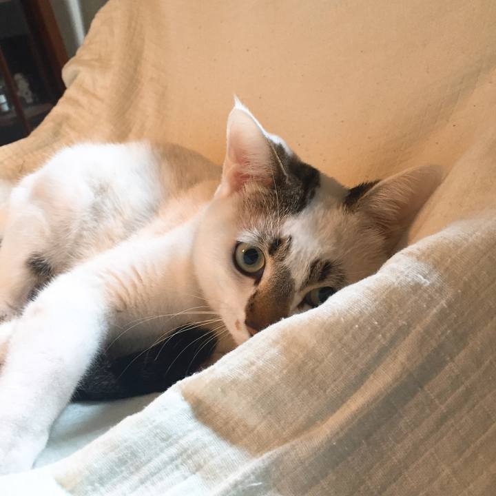 Cc6918b3 b044 47f9 87a3 13bd66e4d7ab