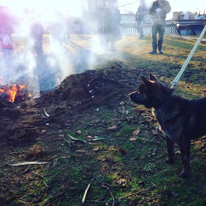 Cc6a90e5 a75c 4548 9fac 6164b8530b14