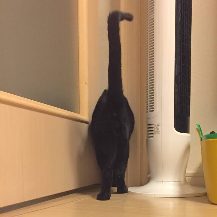 Cc6afd30 2932 4270 bed1 729c4b75933a