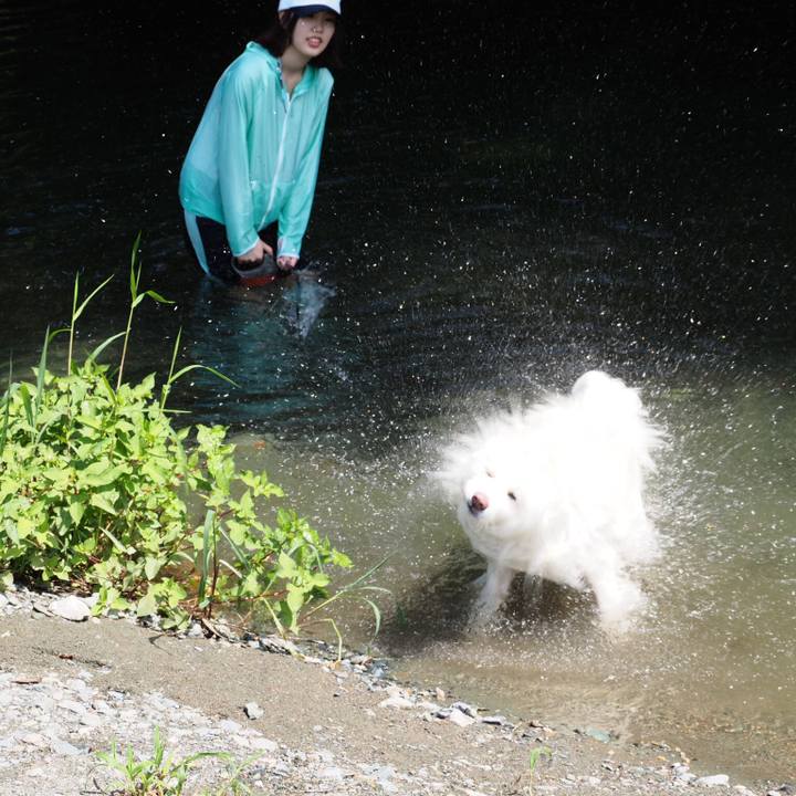 Cc6b3339 699c 49b2 9880 58f10b1fe1f7