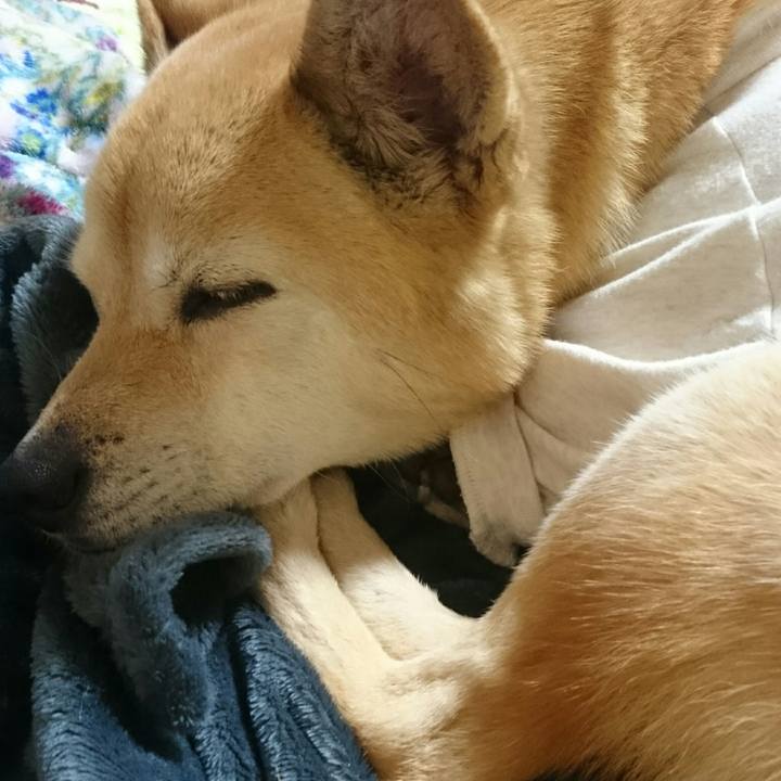 Cc6b97c8 bea2 4d09 9dc5 c48710f80d80