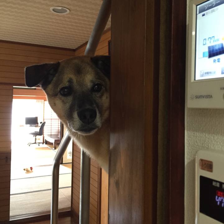 Cc6c3379 a0a0 4b3b 9453 c0ac57301abd