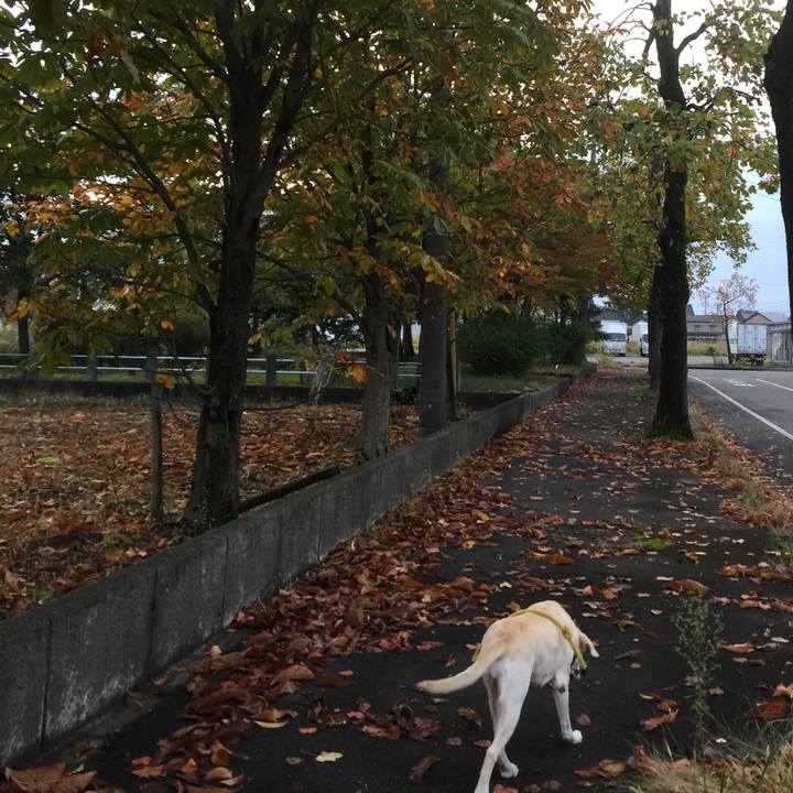 Cc6cb05a ff58 4f17 b3c0 5a0256ce48ab