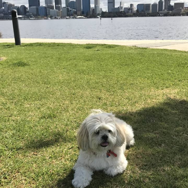 Cc6dc994 ca6c 4091 a80c 8954a525e2ee