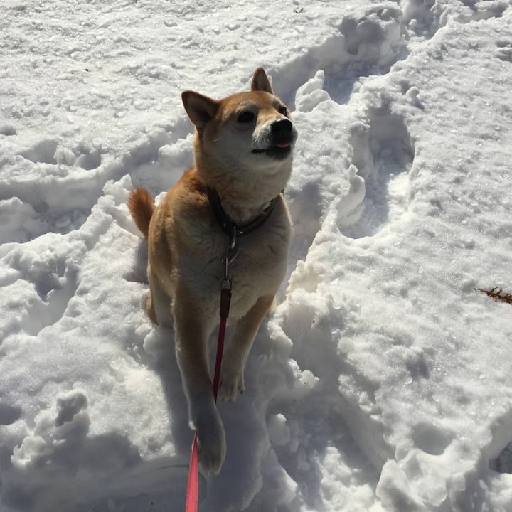 Cc6df4d3 2991 4959 af09 a7e858139780