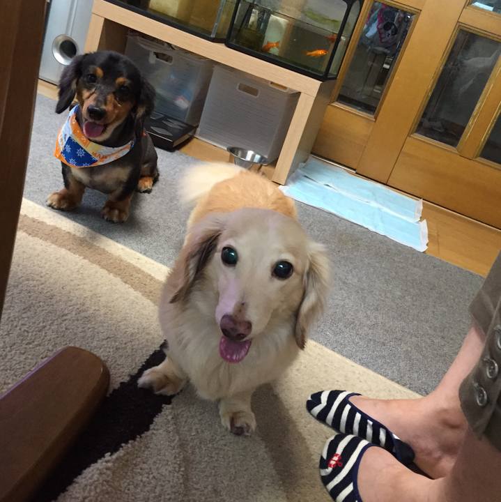 Cc6e033a 4dc7 4aae 9b0d 0f2d3c84f4ee