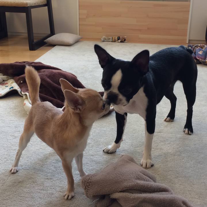 Cc6eb5f9 2ca2 46b6 a37b 66a9b2d453eb