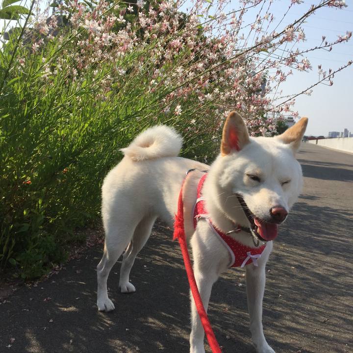 Cc6f195d 5a3a 4c7e 9e04 ab4ecb4d05b1