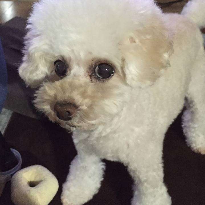 Cc6febbe f042 46ff a649 216889c2689d