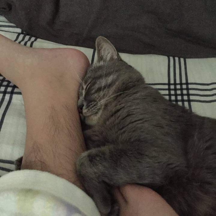 Cc6fff96 140e 4a05 bfdf 42b53bf02adc