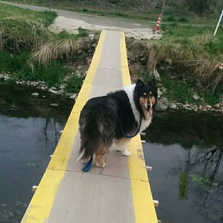 Cc7045a0 88ca 443c a22a bf950ef15fe4