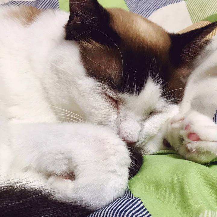 Cc7074cd da12 4fa7 a91f ad4ce6c1d96d