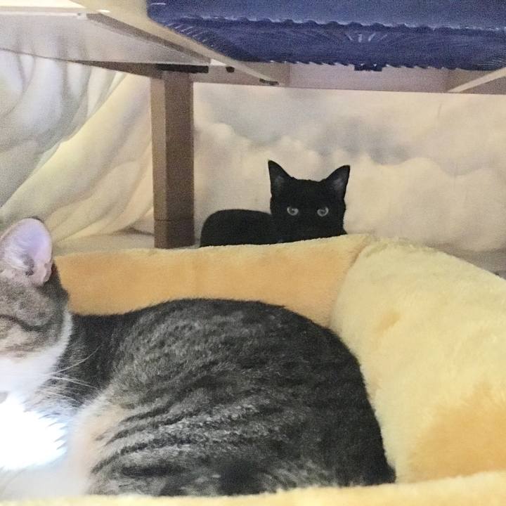 Cc713be4 ce5b 4ec8 836e 7a03ae7e2dbc