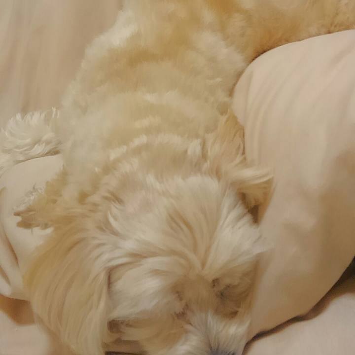 Cc718115 c047 401a 8618 eba69b35ac49