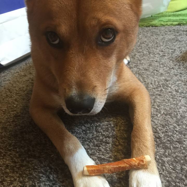 Cc71b2e9 6af7 4c6a 9a50 fe4f9fd276b4