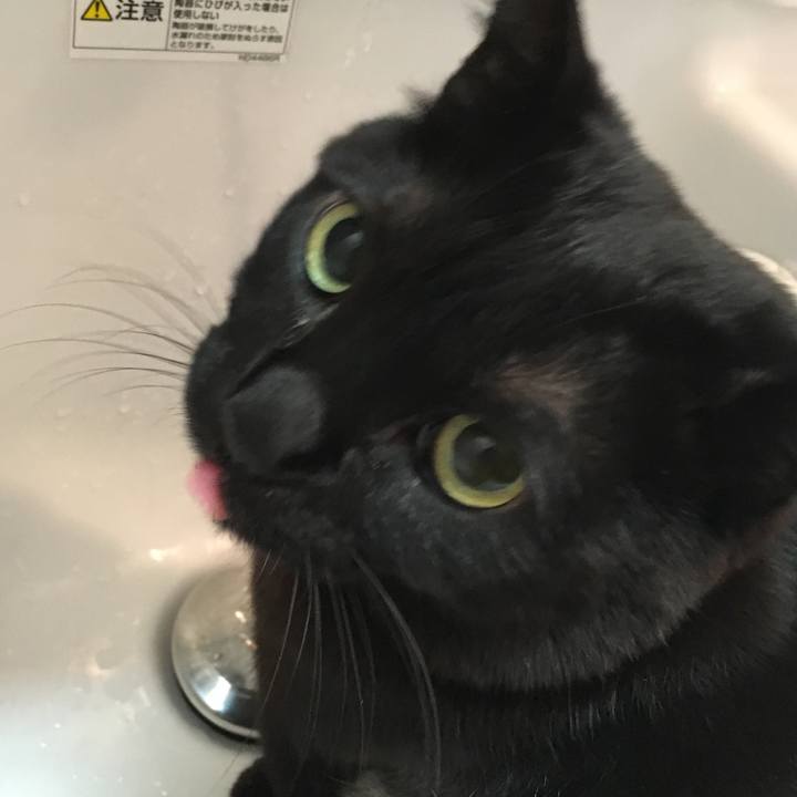 Cc727c85 d5d9 400c 90fe e3efc14786cb