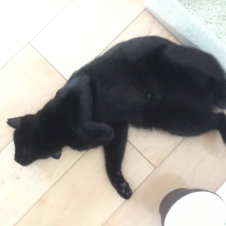 Cc72814d aad3 4607 bc04 2abc4ada9720