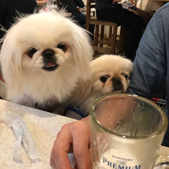 Cc72fef9 b221 4826 9747 de8b8438c4c4