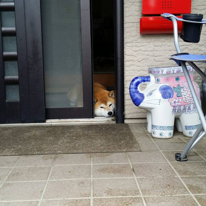 Cc738eee 2d2c 4b2d ba5c a779f6506baf