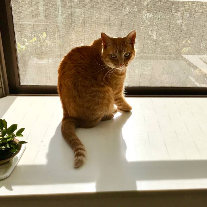 Cc73bf86 6a8a 41de 8671 fce826c21efb