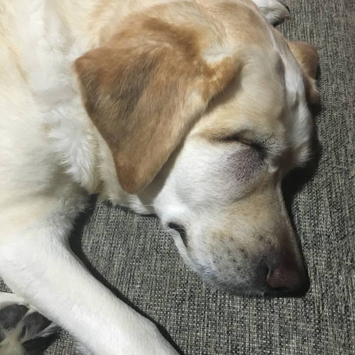 Cc73c889 8ce6 463f 960c 43d132b38301