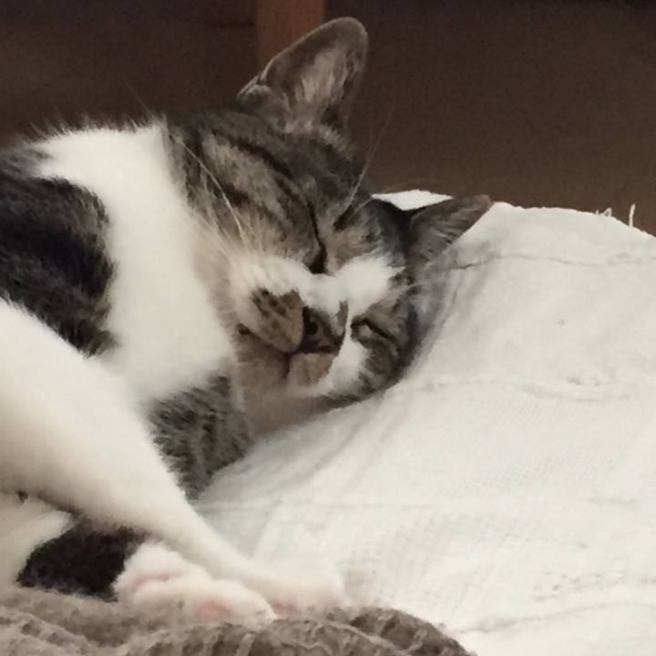 Cc73e5e0 65e4 4684 81f2 72551d07551d