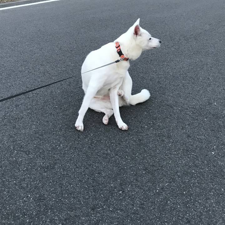 Cc7487f3 0bc9 4671 bc7b bd1507fe6b09